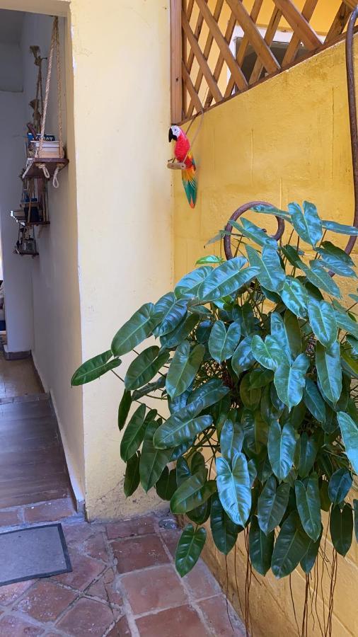Chao Mama Hostal Santo Domingo Exteriör bild